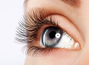 Lash Extensions - Absolute Smile