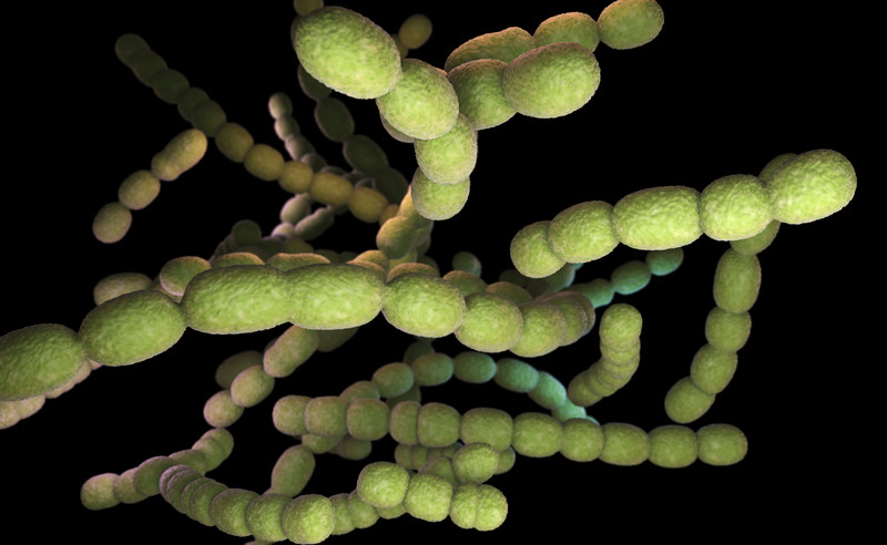 Why Mouth Bacteria Can Harm Your Lungs-Absolute Smile