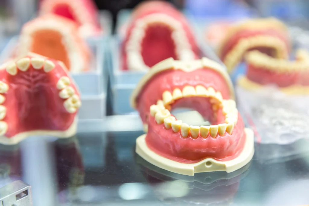 Dental prosthetic models showing upper and lower jaw dentures on display.